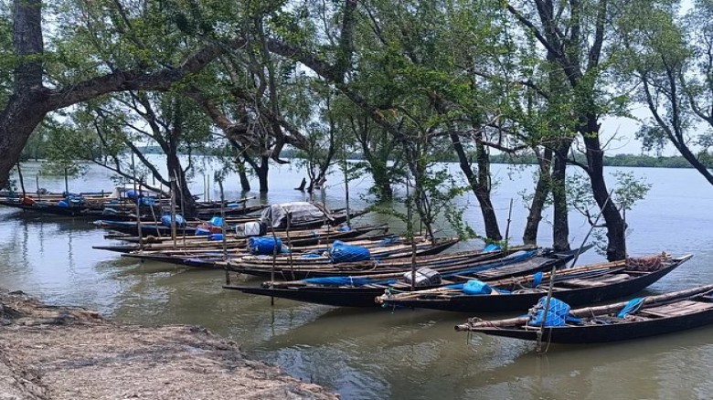 সুন্দরবনে প্রবেশের অনুমতিপত্র নবায়নে রাজস্বের চেয়ে ৪০ গুণ ঘুষ আদায় সুন্দরবনে প্রবেশের অনুমতিপত্র নবায়নে রাজস্বের চেয়ে ৪০ গুণ ঘুষ আদায়